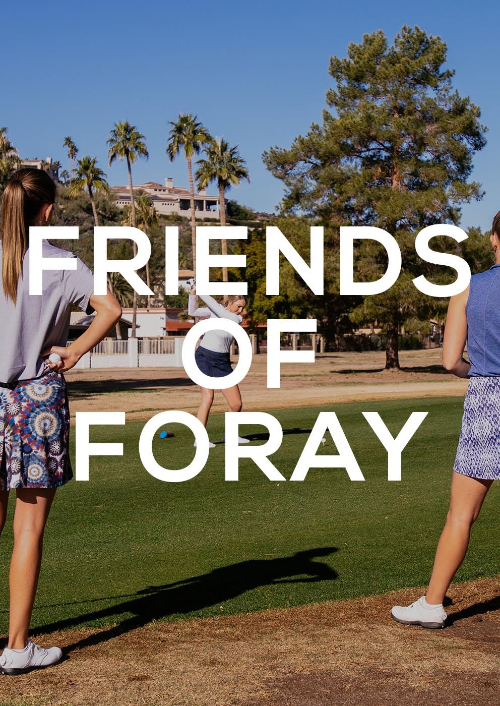 Friends of Foray